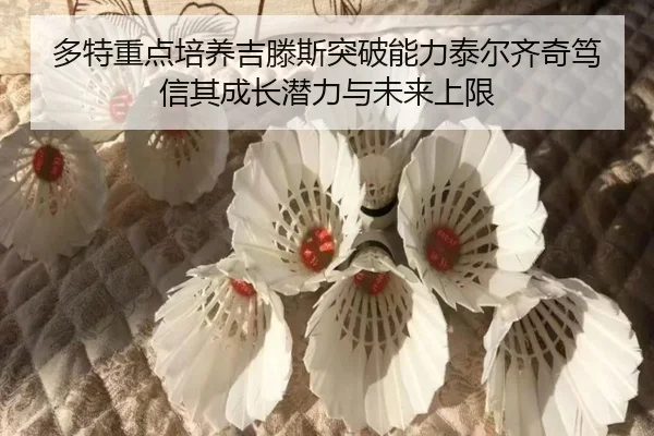 多特重点培养吉滕斯突破能力泰尔齐奇笃信其成长潜力与未来上限